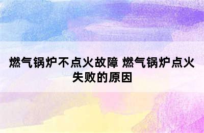 燃气锅炉不点火故障 燃气锅炉点火失败的原因